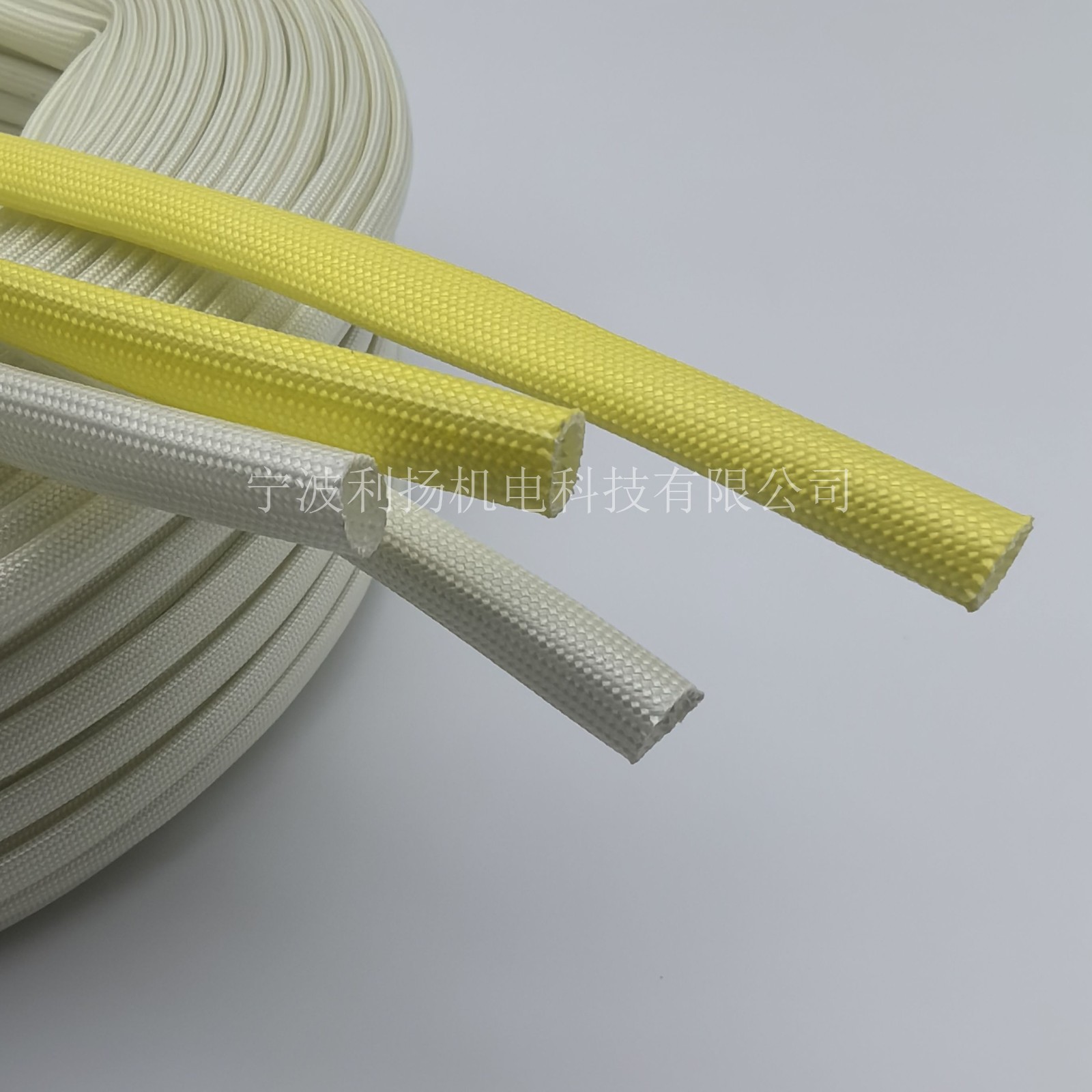 寧波利揚(yáng)機(jī)電科技有限公司